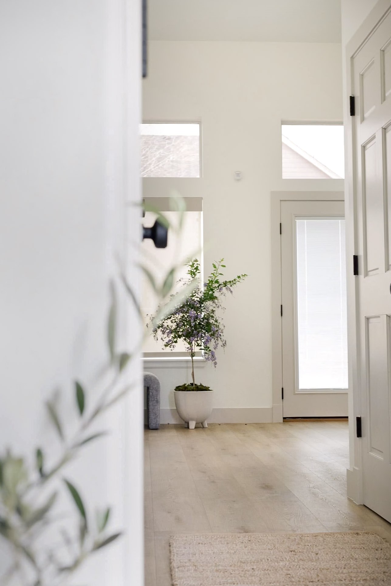 A bright entry hall in soft daylight, with a flowering potted tree beside the door and pale wood floors